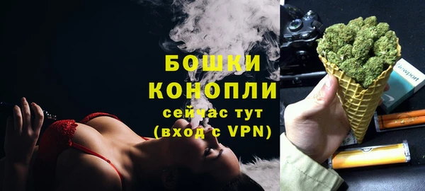 бошки Снежногорск