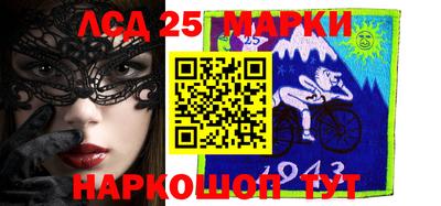 индика Камышлов