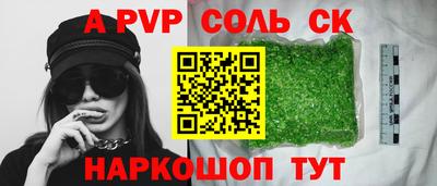 индика Камышлов