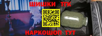 индика Камышлов