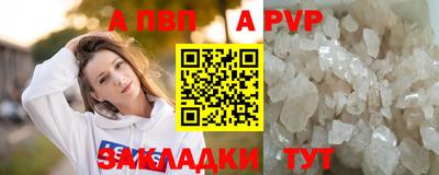 индика Камышлов