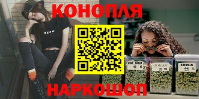 индика Камышлов