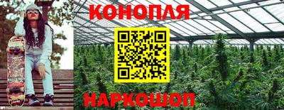 индика Камышлов