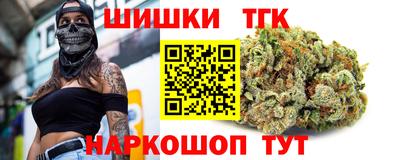 индика Камышлов