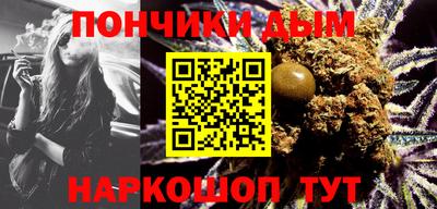 индика Камышлов