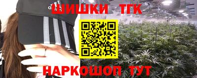 индика Камышлов