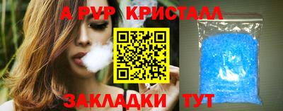 индика Камышлов