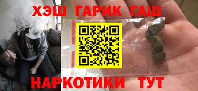 индика Камышлов