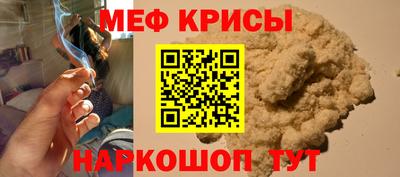 индика Камышлов